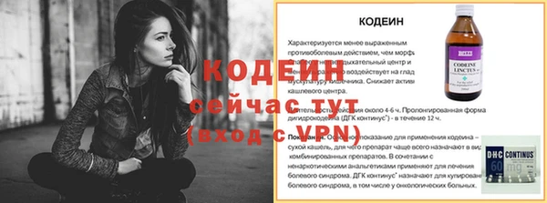 spice Богородицк