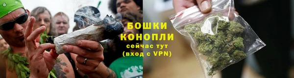 PSILOCYBIN Бугульма