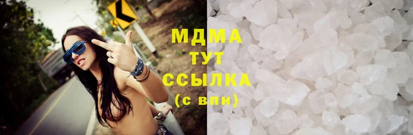 spice Богородицк