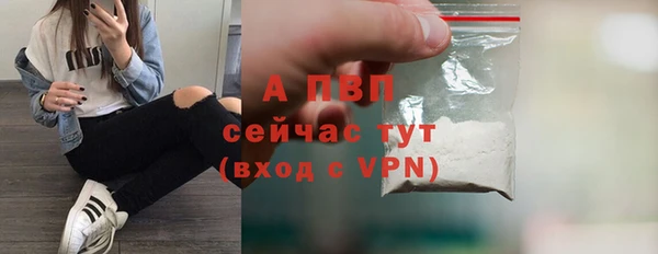 МДПВ Бородино
