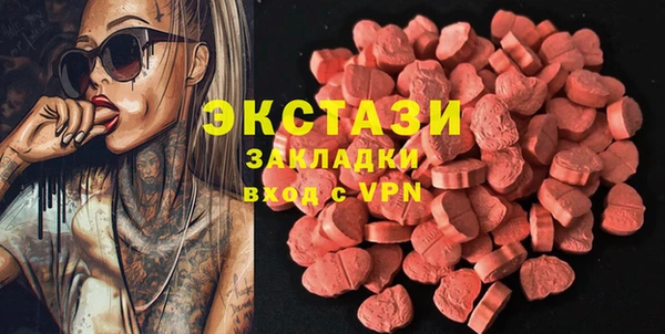 МДПВ Бородино