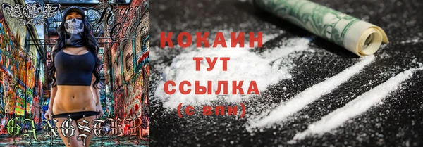 spice Богородицк