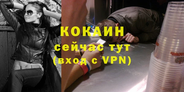 МДПВ Бородино