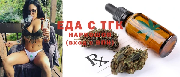 МДПВ Бородино