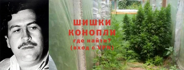 дмт Богородск