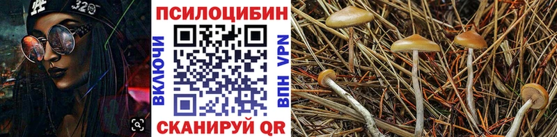 Галлюциногенные грибы мухоморы  даркнет сайт  Старица 